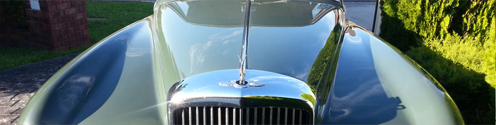 Leather Restoration